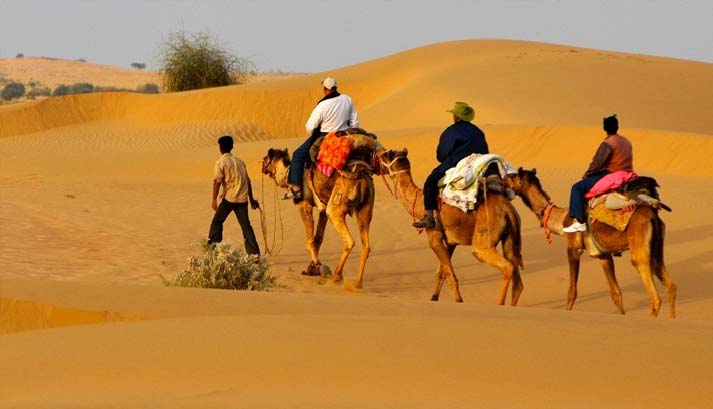 Desert Safari Bikaner